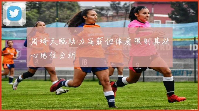 周琦天赋助力高薪但体质限制其核心地位分析