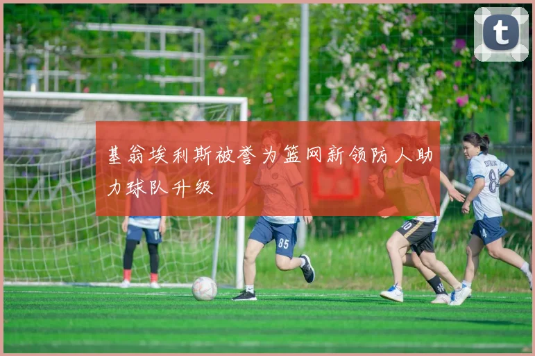 基翁埃利斯被誉为篮网新领防人助力球队升级