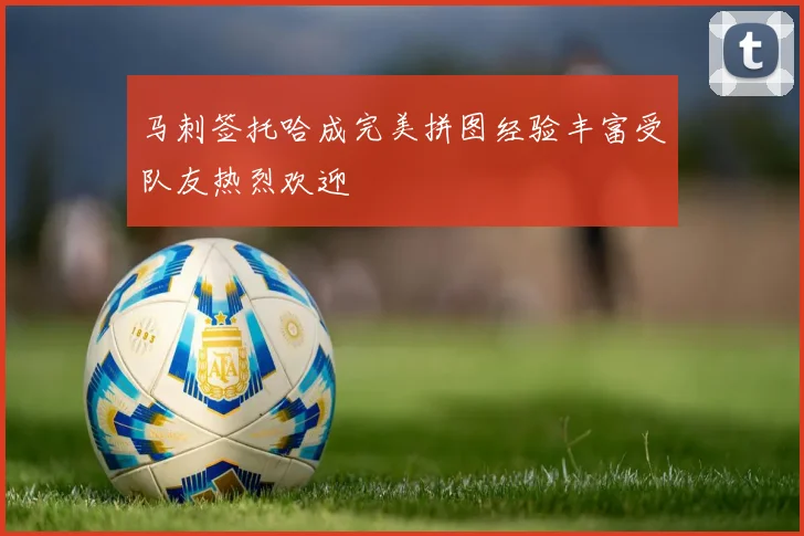 马刺签托哈成完美拼图经验丰富受队友热烈欢迎